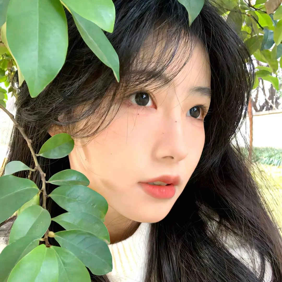 黑色孤星泪