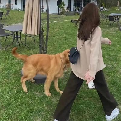 警探维斯廷第四季