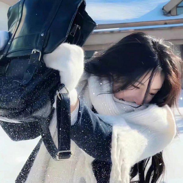 三剑客：米莱迪